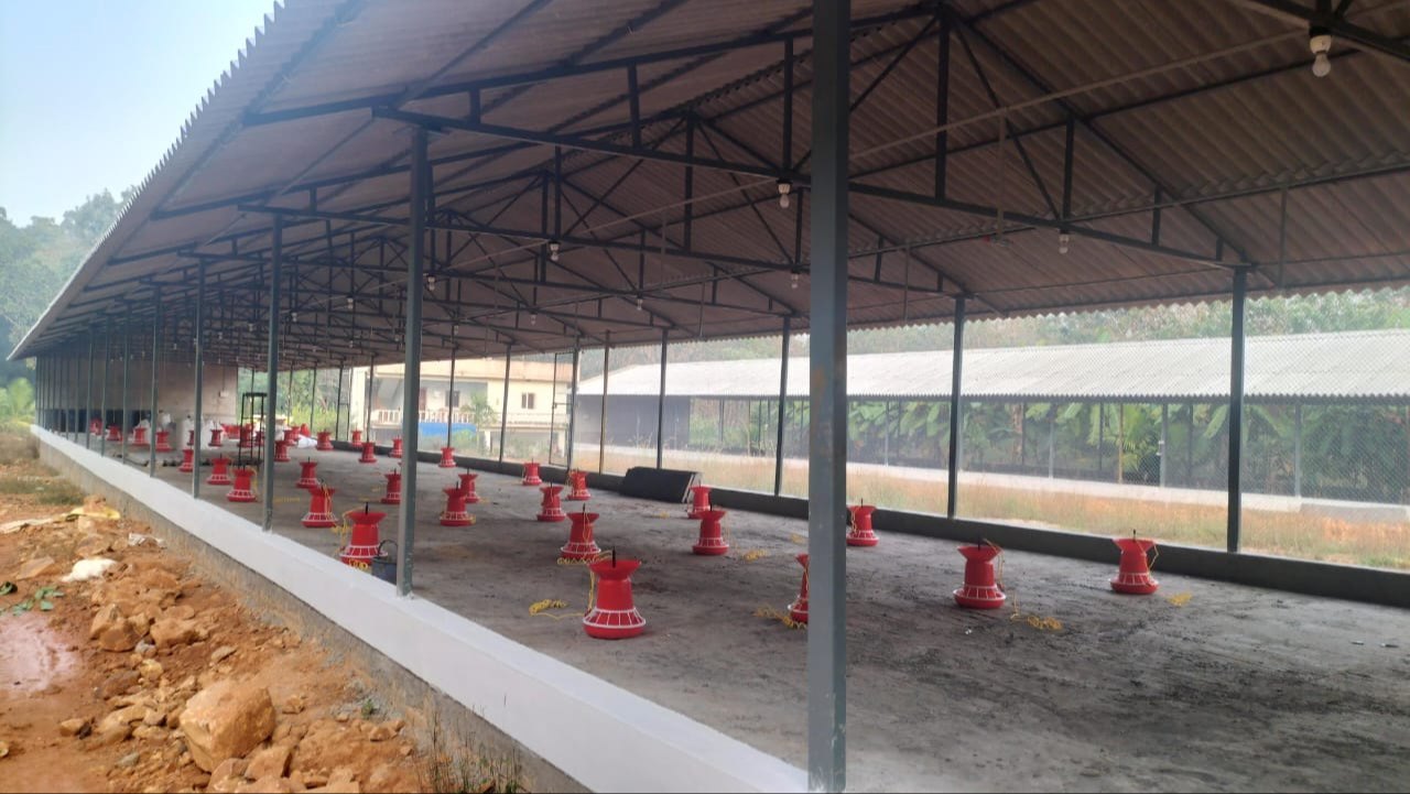 Dairy Sheds Around Salem Are Getting a Roofing Upgrade, Here's Why It Matters